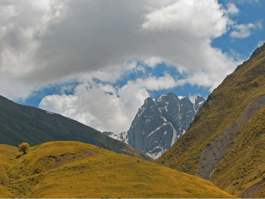 ულამაზესი ჯუთა
