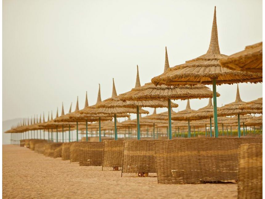 წითელი ზღვის საოცრება ბრუნდება