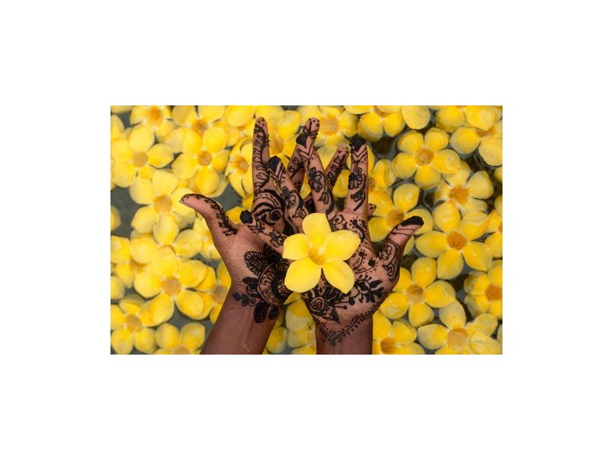 გოა - მიიღეთ დაუვიწყარი შთაბეჭდილებები !!!