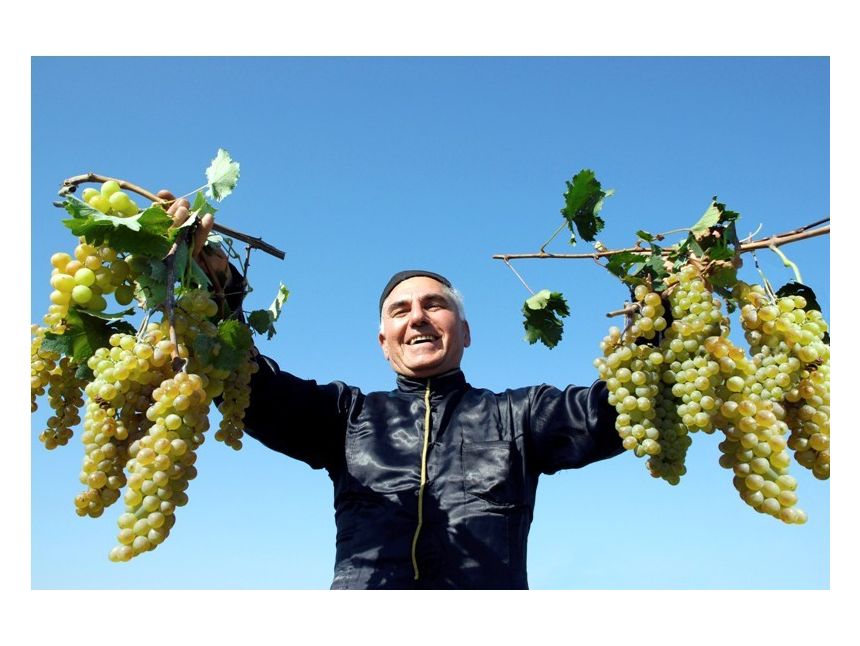 ღვინის ტური აღმოსავლეთ საქართველოში