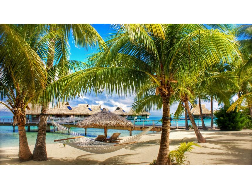 გოა - მიიღეთ დაუვიწყარი შთაბეჭდილებები ევროდან!!!