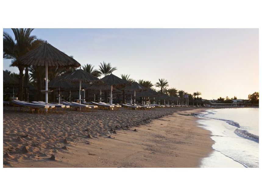 იჩქარეთ !!!! ეგვიპტე