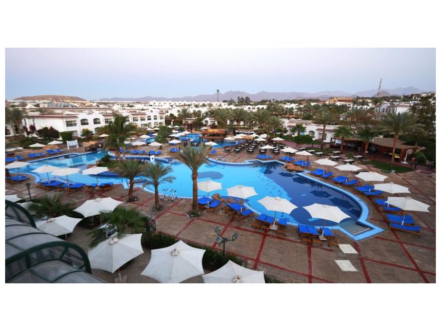 იჩქარეთ !!!! ეგვიპტე