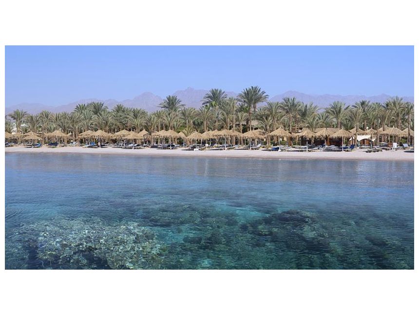 იჩქარეთ !!!! ეგვიპტე