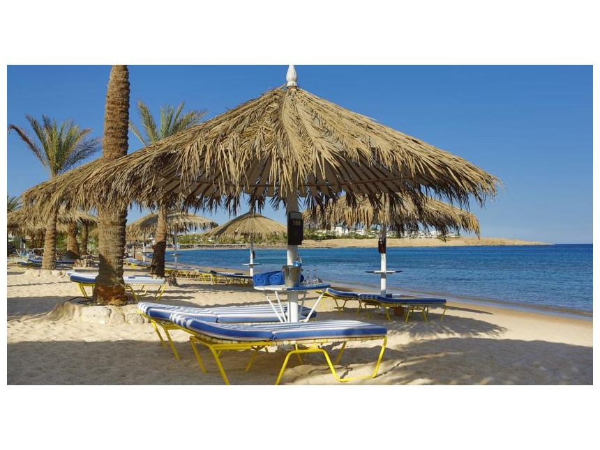 იჩქარეთ !!!! ეგვიპტე