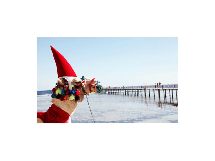 ახალი წლის დღეები ეგვიპტეში! იჩქარეთ! ნაადრევი ჯავშნების აქცია დაიწყო!