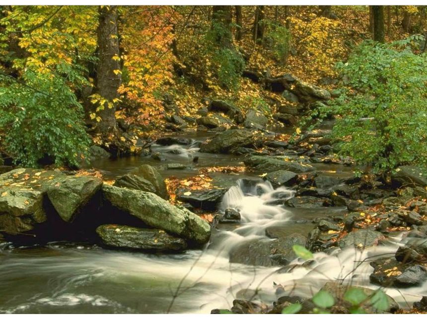 შემოდგომის ლაგოდეხი - როჭოს ჩანჩქერი