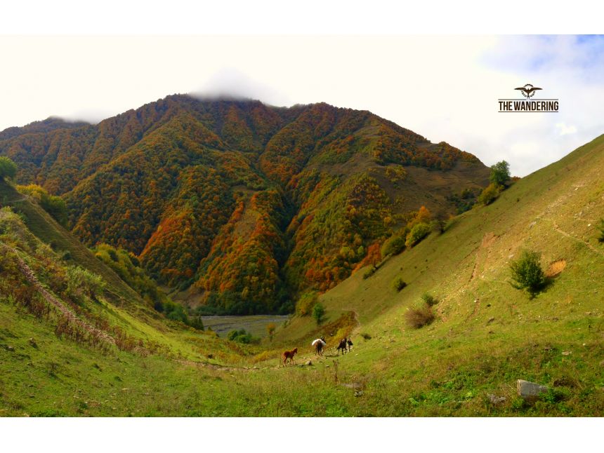 ტური შემოდგომის გუდამაყარში