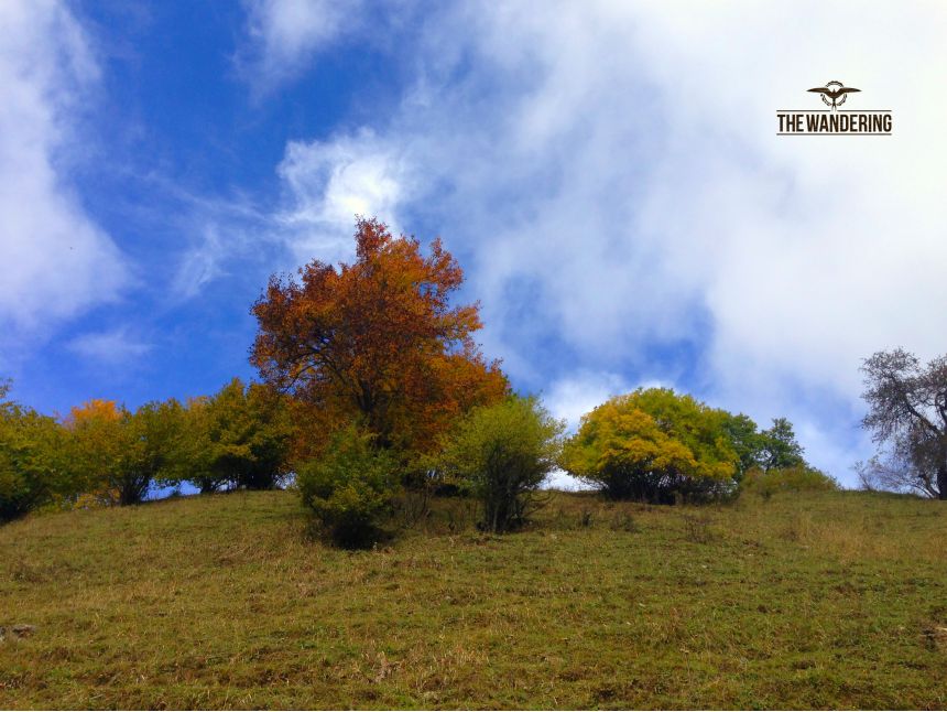 ტური შემოდგომის გუდამაყარში