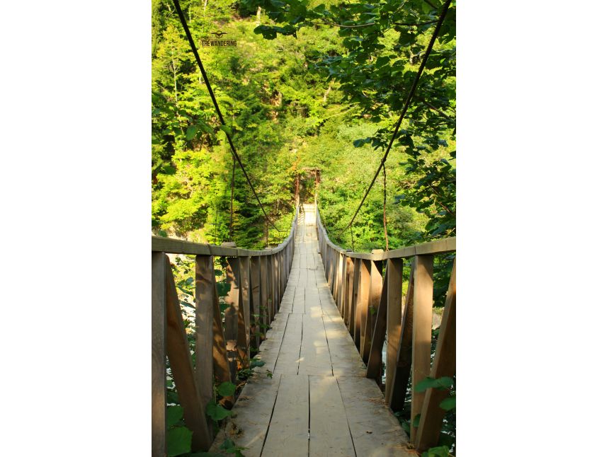 ტური შემოდგომის რაჭაში