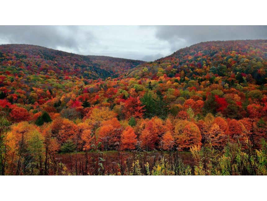 ოქტომბერი შემოდგომის რაჭა