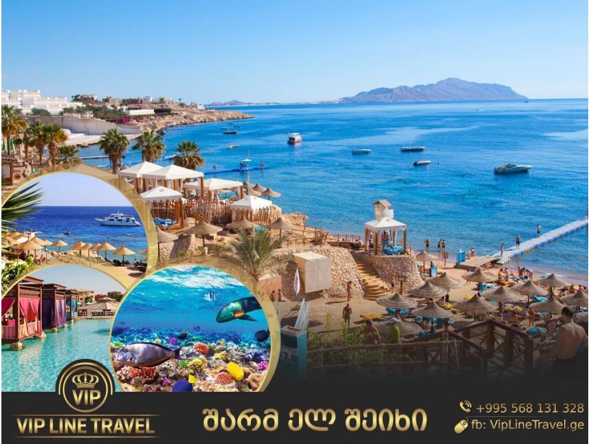 დეკემბრის ნაადრევი ჯავშნები-ეგვიპტე/შარმ ელ შეიხ