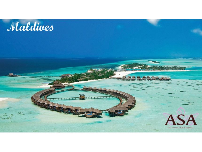 MALDIVES!