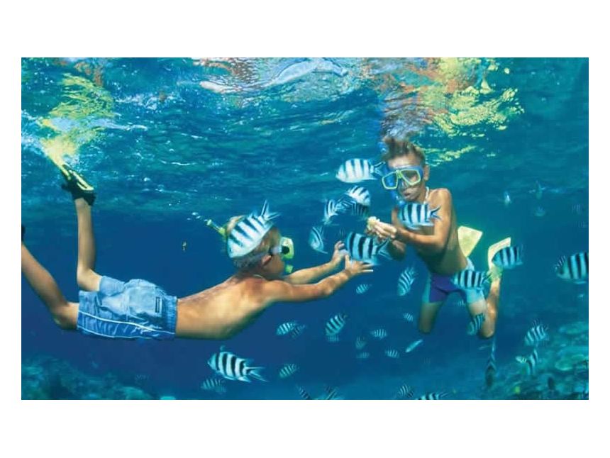 ცხელი ეგვიპტე სულ რაღაც $ - ადამიანზე