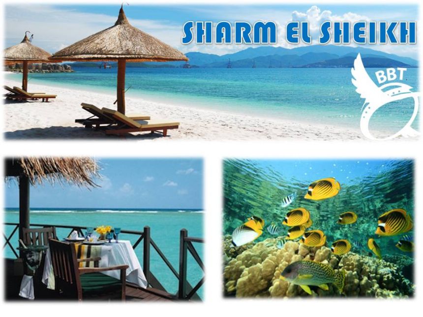 გაატარე დაუვიწყარი ახალი წლის დღე ბაკურიანში