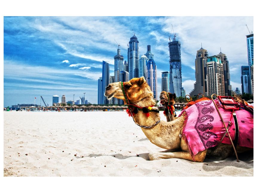 გაატარე განუმეორებელი დღეები დუბაიში - -დან