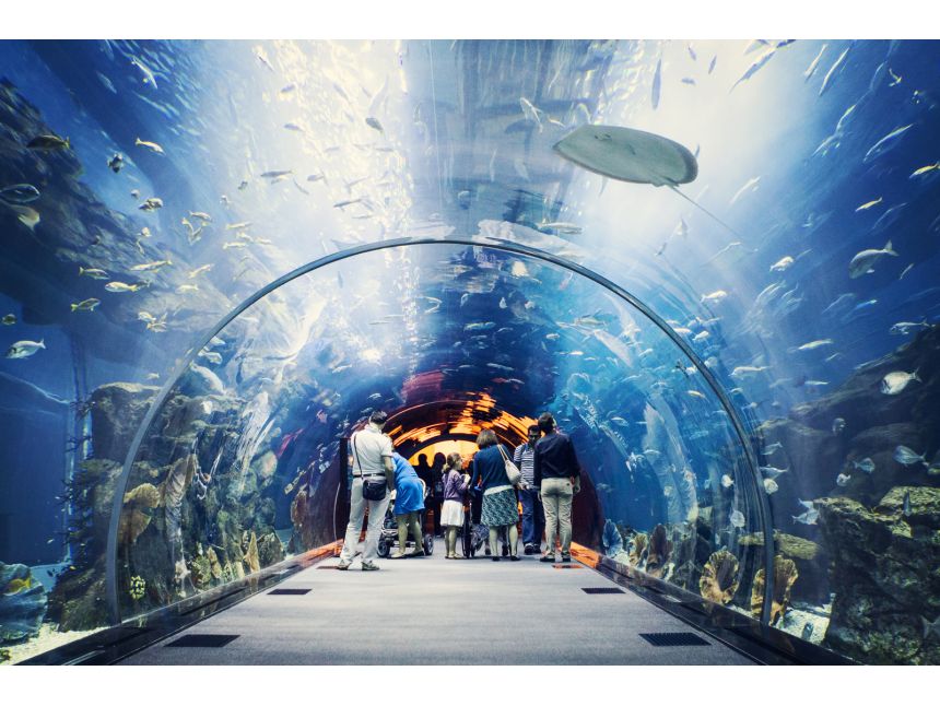 გაატარე განუმეორებელი დღეები დუბაიში - -დან