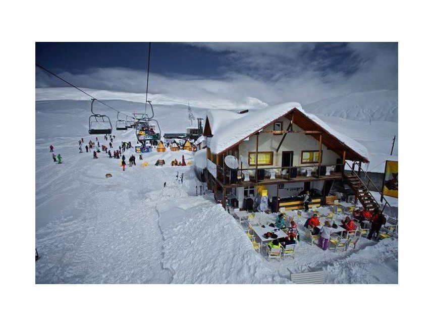 გუდაურის ერთ დღიანი ტური