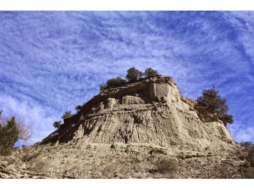 ნოემბერი დღე ვაშლოვანის დაცული ტერიტორია