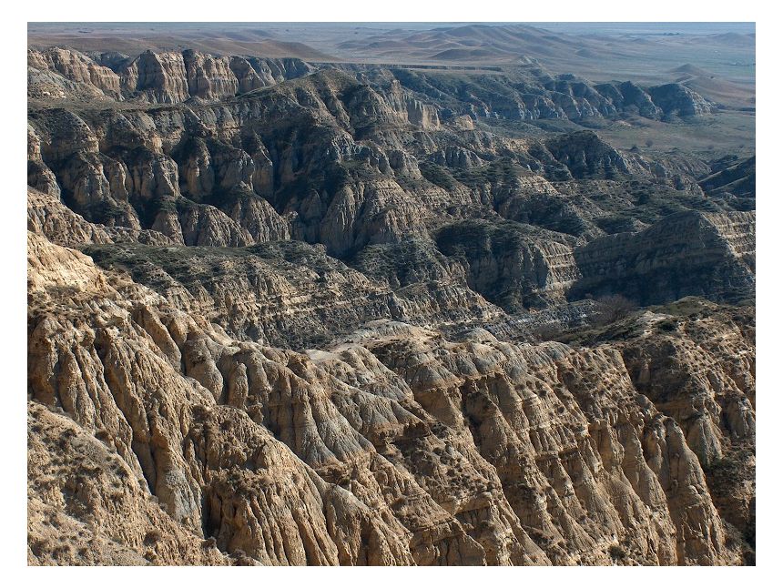 ნოემბერი დღე ვაშლოვანის დაცული ტერიტორია