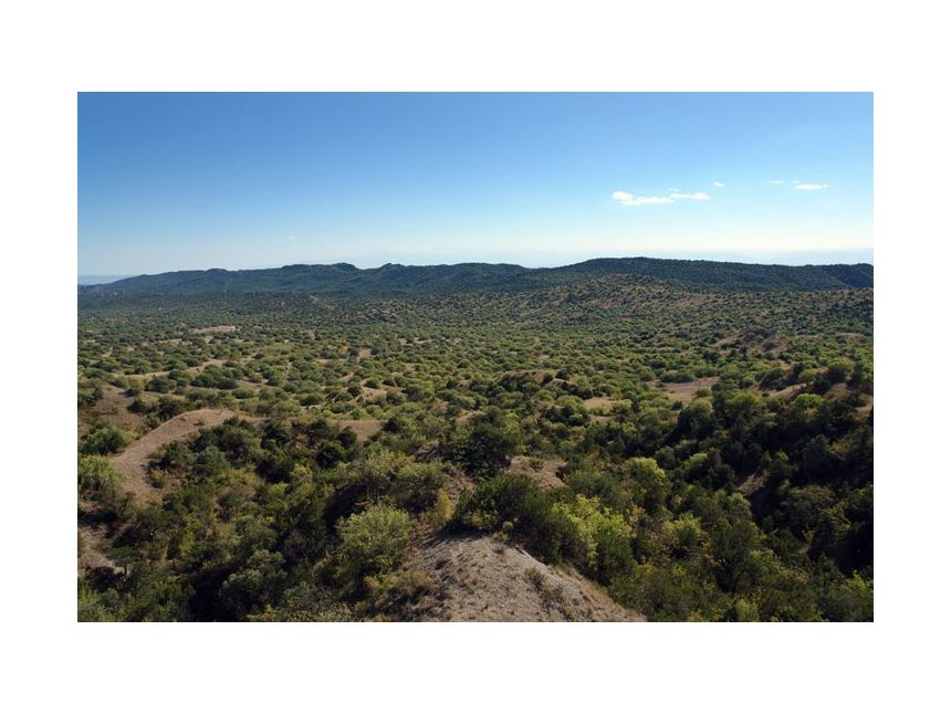 ნოემბერი დღე ვაშლოვანის დაცული ტერიტორია