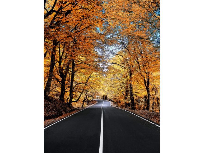 შემოგომა კახეთში: