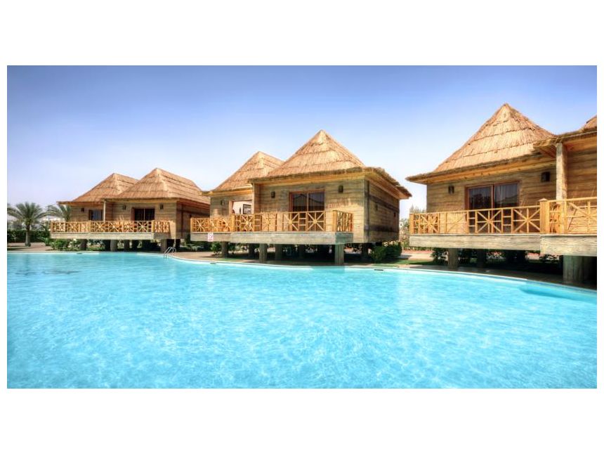 იჩქარეთ ეგვიპტე  დოლარი