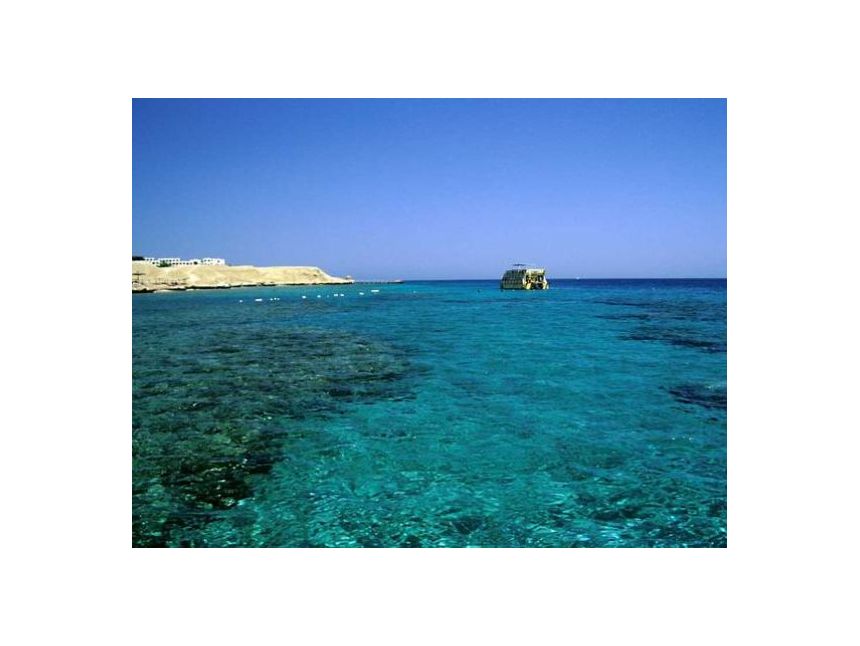 შეხვდი ვალენტინობას შარმ ელ შეიხში / ადამიანზე