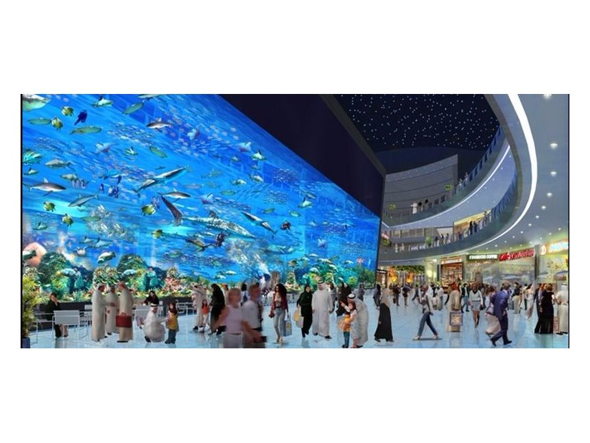 UAE - Shopping Tour !!!