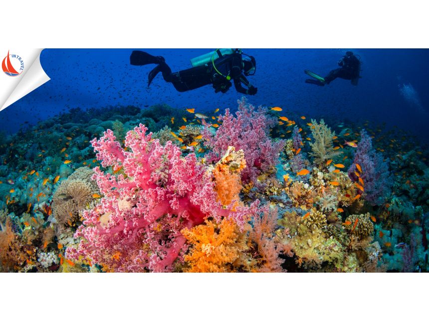 EGYPT ➤ SHARM EL SHEIKH