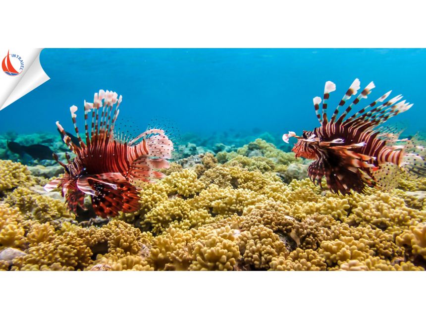 ეგვიპტე ➤ ჰურგადა (ბოლო ადგილები!)