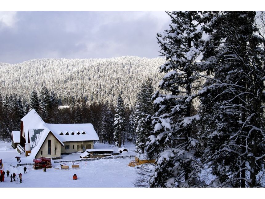 White Holidays in Georgia