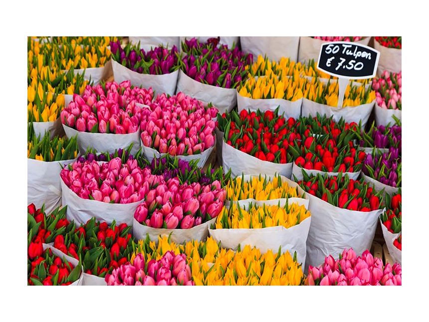 ამსტერდამი - ყველასთვის საოცნებო ქალაქი