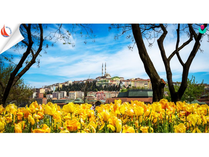 TURKEY ➤ ISTAMBUL (TULIP FESTIVAL)