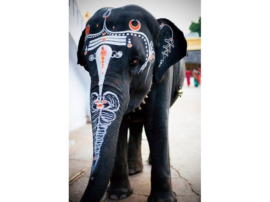 ✌ გოა ✌ ეგზოტიკური ახალი წელი ✌