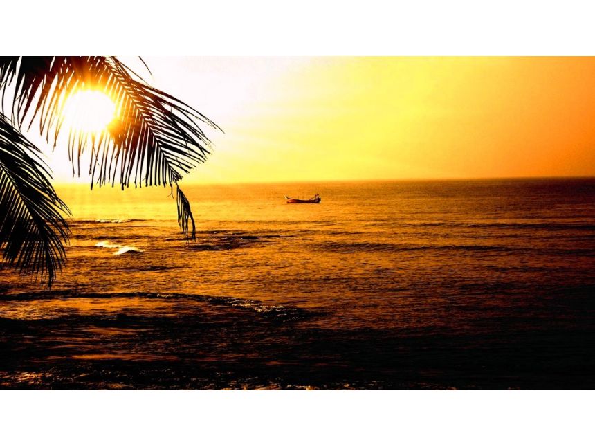 ✌ გოა ✌ ეგზოტიკური ახალი წელი ✌