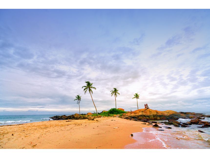 შრი ლანკა ✌ ✌ ჩვენთან რეალური ფასებია ❣ ❣