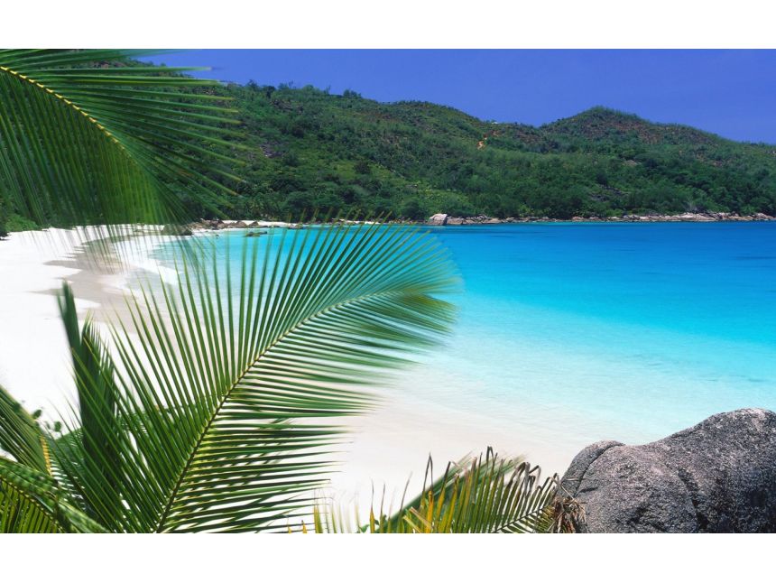 შრი ლანკა ✌ ✌ ჩვენთან რეალური ფასებია ❣ ❣