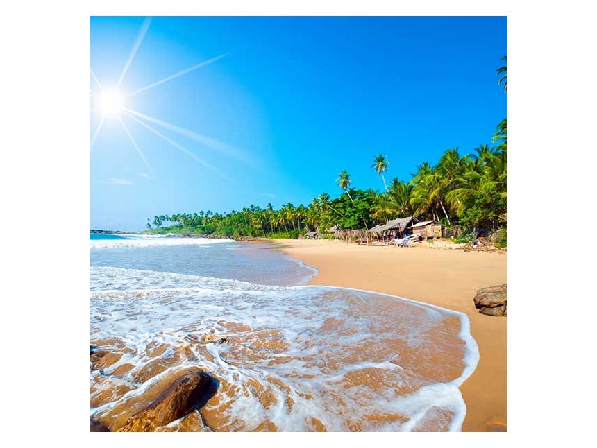 შრი ლანკა ✌ ✌ ჩვენთან რეალური ფასებია ❣ ❣