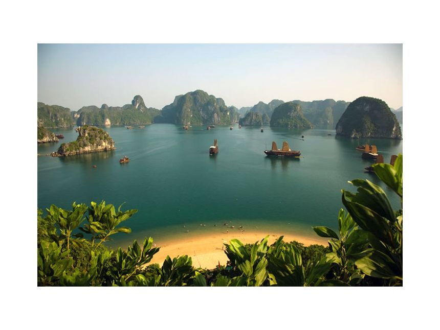 შრი ლანკა ✌ ✌ ჩვენთან რეალური ფასებია ❣ ❣