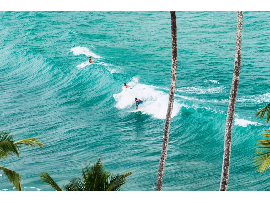 შრი ლანკა ✌ ✌ ჩვენთან რეალური ფასებია ❣ ❣