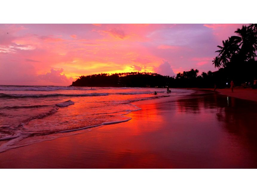 შრი ლანკა ✌ ✌ ჩვენთან რეალური ფასებია ❣ ❣