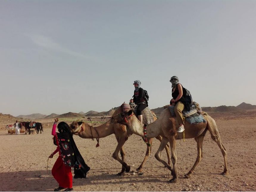 ტურები ხურგადასა და შარმში