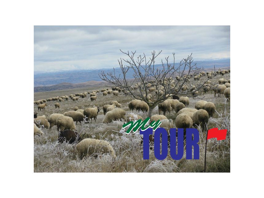 ტრანსპორტირება თქვენი დაკვეთით. --