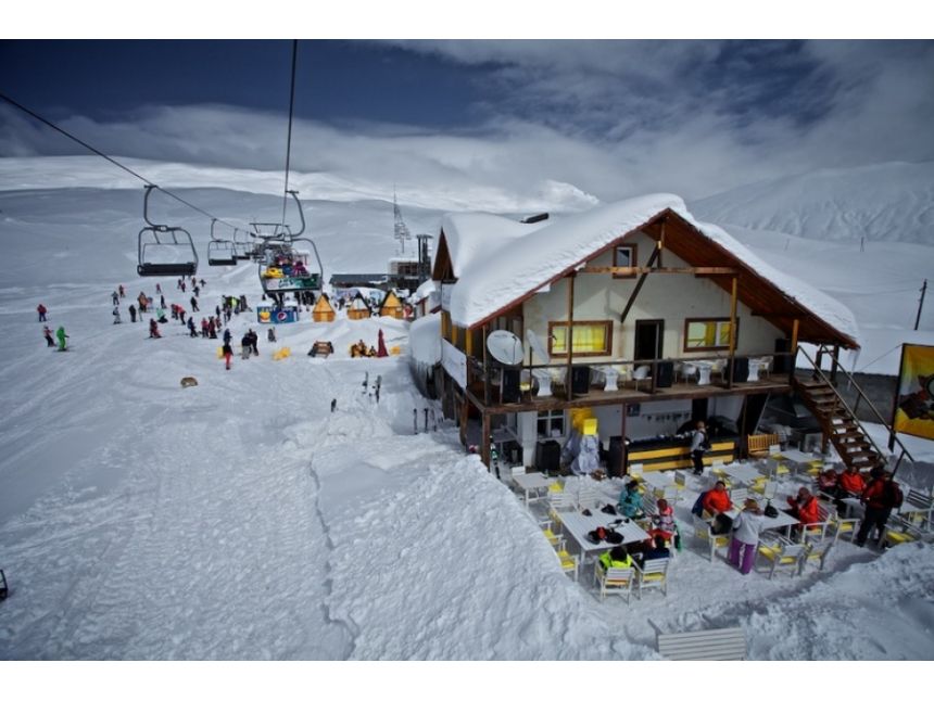 გუდაურის ერთ დღიანი ტური შაბათს