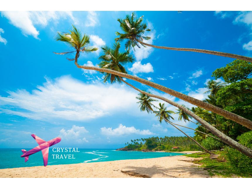 ერთკვირიანი ტური შრი-ლანკაზე -დან