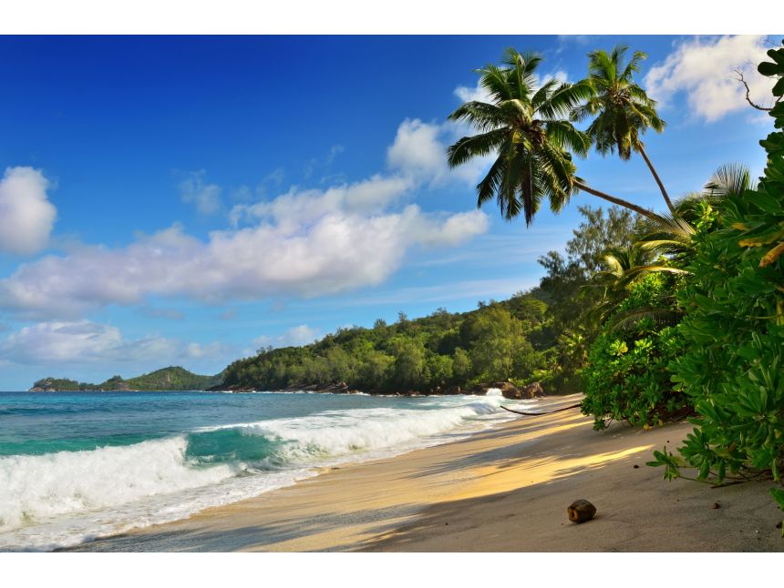 ერთკვირიანი ტური შრი-ლანკაზე -დან