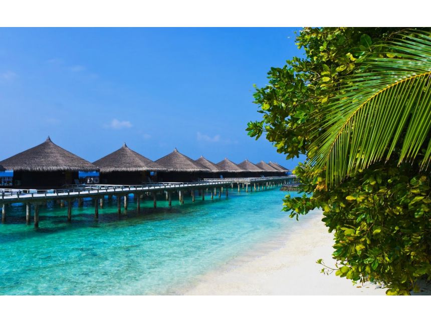 გაატარე ზამთრის ცივი დღეები გოას ცხელ სანაპიროებზე -