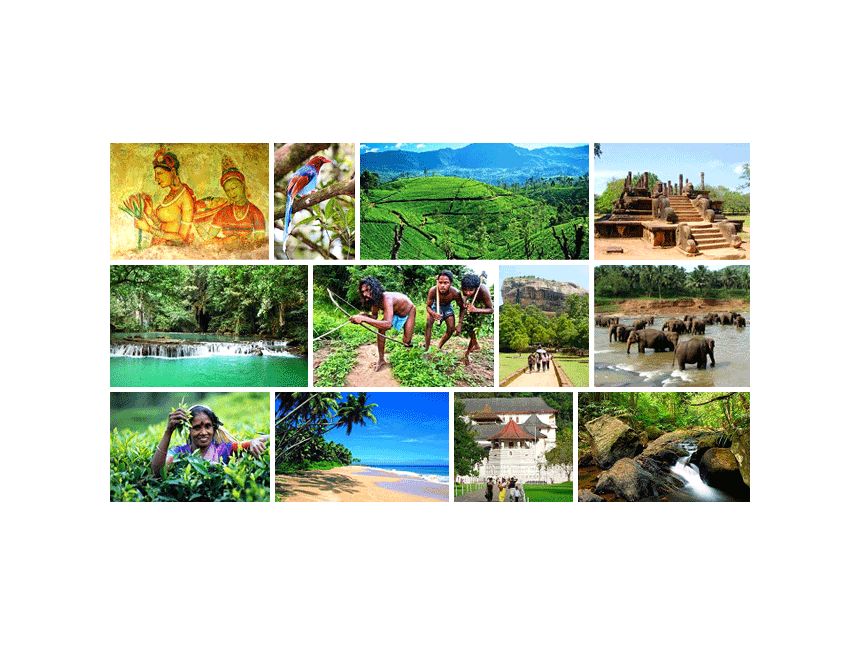 იმოგზურეთ ეგზოტიკურ შრილ ანკაში და მიიღეთ დაუვიწყარი შთაბეჭდილებები !!!