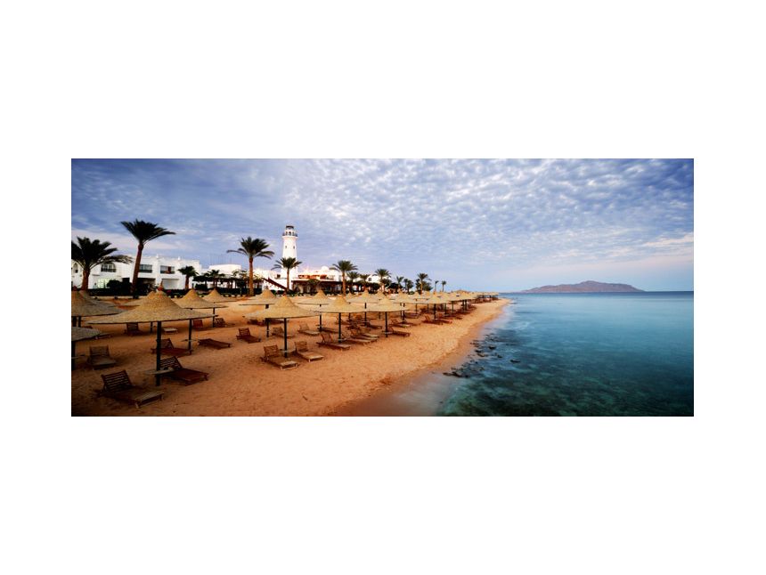 იჩქარეთ ეგვიპტე  დოლარი შეიძინეთ წინასწარ დიდი ფასდაკლებით